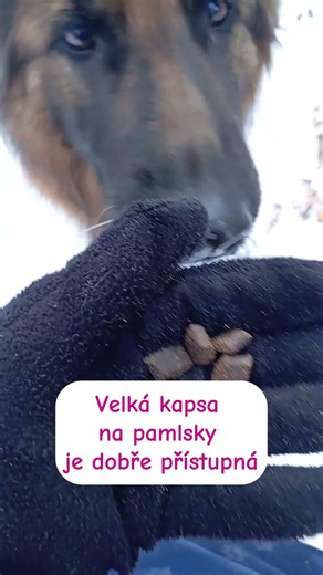 Minisukně nejen na pamlsky - pamlskovník/minisukně v jednom