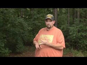 What is the Proper Tree Stand Height?