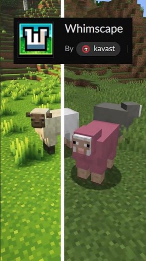 I Found The BEST Minecraft Resource Pack