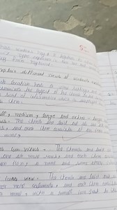 Explain different views of Windows Explorer. Each location has ... | Filo