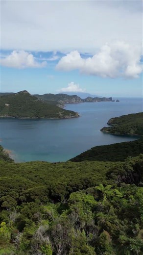 Solo Sailing to Great Barrier Island for an adventure...