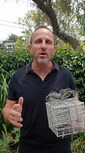 House Check property services. We service the Innerwest. Innersouth, East and Sydney suburbs. Check on your house while you are away, pets, gardens, key holding service plus more. Reach out if you are going away these holidays & we can assist you. | HOUSE CHECK Property Services