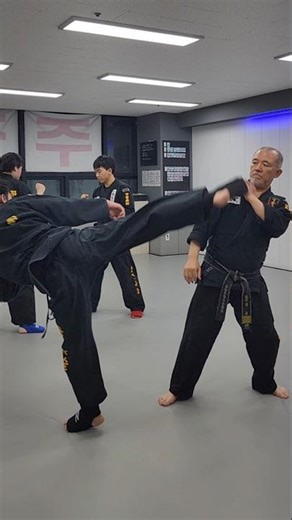 로우킥 응징.. 되돌려차기 | How to KO with a Spinning Back Kick