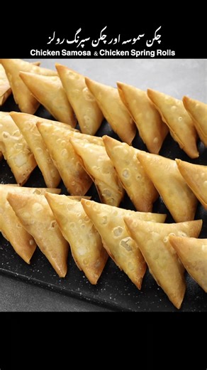 Delicious Chicken Samosa and Spring Rolls Recipe