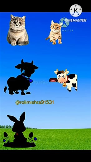 Yeh junglee janwar ne dilli mausi ko kaala kar diya cartoon