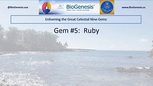 Ruby Gem Technique