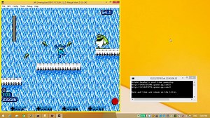 NES洛克人2禁用E罐无殒命通关-2018年冬至日