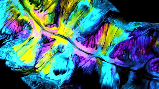 8K HDR 240FPS | VIDEO TEST | QUALITY TEST | AM MEDIA