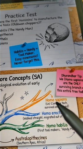 Human Evolution Tree Mnemonic Hack 🔥 | Class 9 SST Chapter 4 #shorts