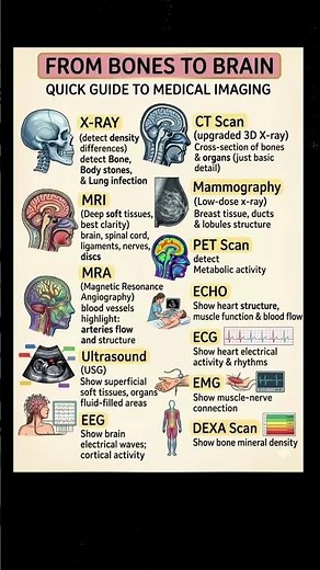 Quick guide to medical imaging