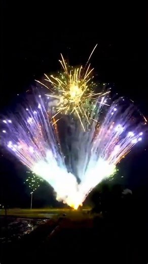 🌟 WHAT YOU THINK ABOUT THIS FIREWORK 🌟