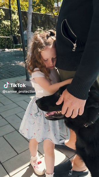 Understanding Functional Obedience in Protection Dogs