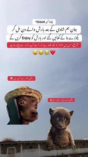 Hilarious Funny Memes That Will Make You Laugh Out Loud