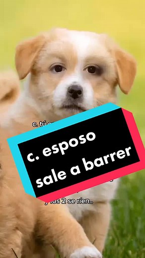 #perrito #perritoadorable #tuesposo #lavecina