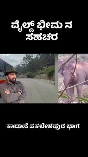 ವೈಲ್ಡ್ ಭೀಮನ ಸಹಚರ , ವಿಕ್ರಮ್ ಗೌಡ್ರು ಮಾತು | wild Bheema elephant Vikram Gowdru #forest #Vikram #elephantnew #new #latest | Kannada updates
