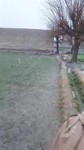 Ismaeel Omari on Reels