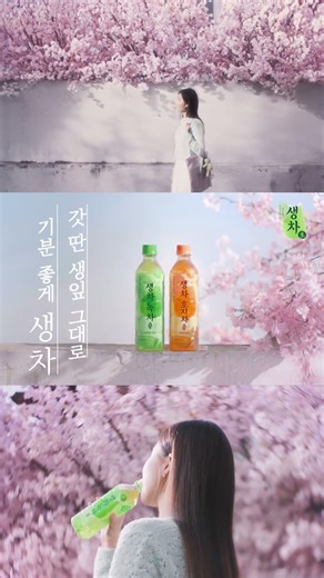 [CF] 살랑 살랑 봄의 시작, 생차와 함께 시작하生
