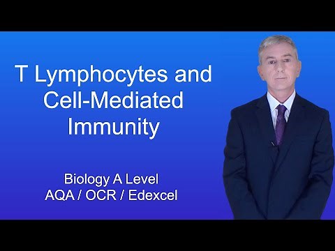 A Level Biology Revision "T Lymphocytes and Cell-Mediated Immunity"