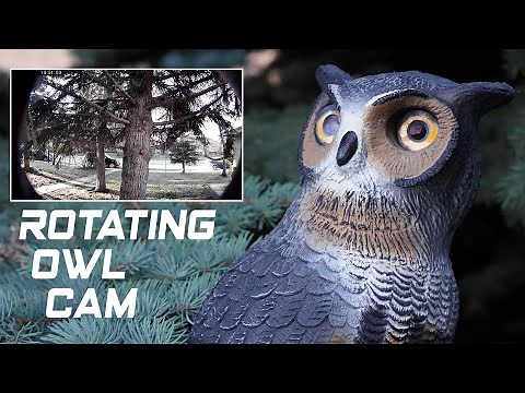 Rotating Hidden Surveillance Owl Camera