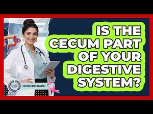 Is The Cecum Part Of Your Digestive System?