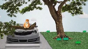 Cat got your car? Check out this video to see what felines can do, then visit the Know the Gaps site to find potential gaps in your insurance. | Farmers Insurance