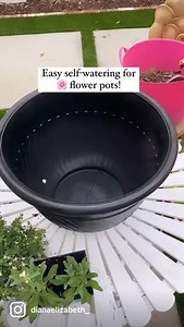 5K views · 38 reactions | "It can be hard to keep flowers alive in...