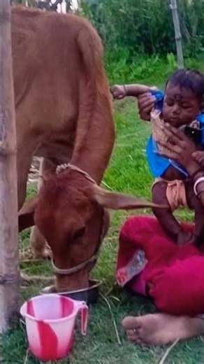 Humra boshe achi se jald #shortsvideo #comedyshorts #dance #song ♥️♥️♥️♥️