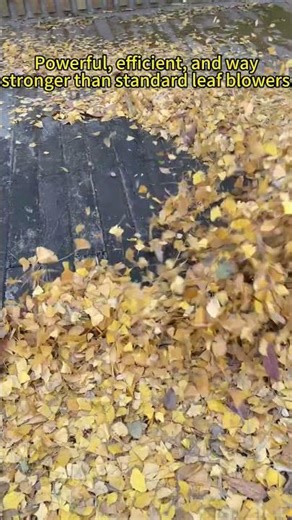 powerful leafblaster