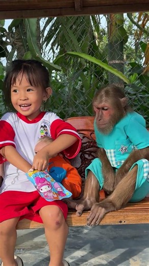 woww! so cute #cutis #monkeybaby #monkeys