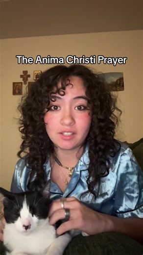 The Anima Christi (Soul of Christ) prayer! #catholicchurch #JesusChrist #catholic #prayer #catholicism