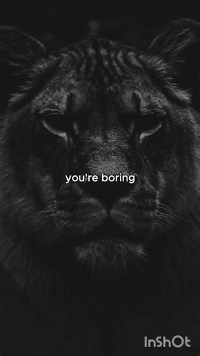 They’ll Criticize You Anyway. Do What Fulfills You. 🦁 #motivation
