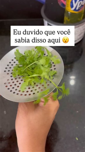 Elenita Dias | Dicas on Instagram: "Duvido que você sabia disso 😱 A #escumadeira não é só pra retirar o feijão não! Use também pra separar os talos do coentro e da salsinha rapidinho, sem bagunça e sem perder tempo ⏱️ Truque perfeito pra quem ama #dicasdecozinha, quer praticidade e vive na correria do dia a dia 💚 Você já fazia isso ou é novo pra você? 👇 #truquecaseiro cozinhafacil #organizaçãonacozinha rotinaprática economiadetempo recife bahia usa dicasrapidas facavocemesmo #dicasdodia"