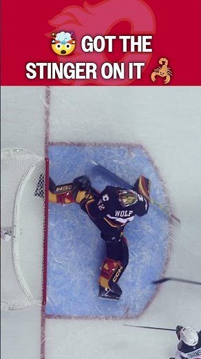 From Wolf to SCORPION 🦂😱