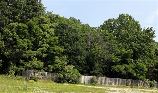 1640 Wigglesworth Way, Woodbridge, VA 22191 - Fair Price Shopping Center | LoopNet