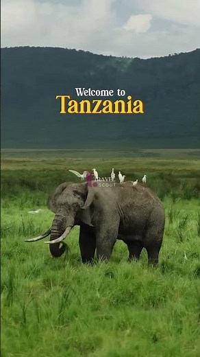 Tanzania Travel Guide 2026 - Serengeti, Mount Kilimanjaro, Zanzibar beaches, and safaris