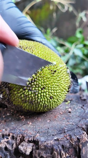 Baby Jackfruit Cutting ASMR | Perfect Satisfying Slice 🍈🔪