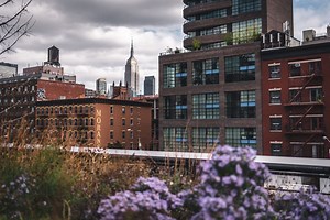 Der High Line Park in NYC: Alle Infos, Video   Geheimtipps
