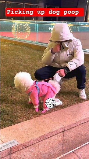 Picking up dog poop 🐶 💩