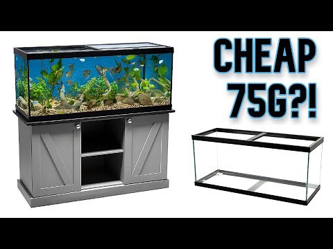 Finding the Cheapest 75g Setup
