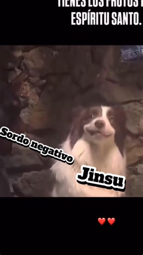 Estoy sonriendo 🐶 | Full Deaf Funny