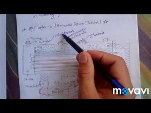 Fire Tube Boiler & classification and working.