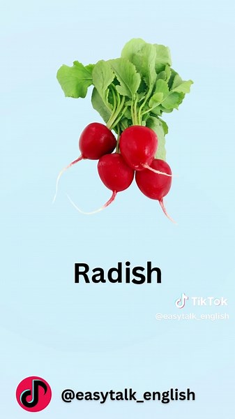 25 Common Vegetables in English: Learn and Speak!