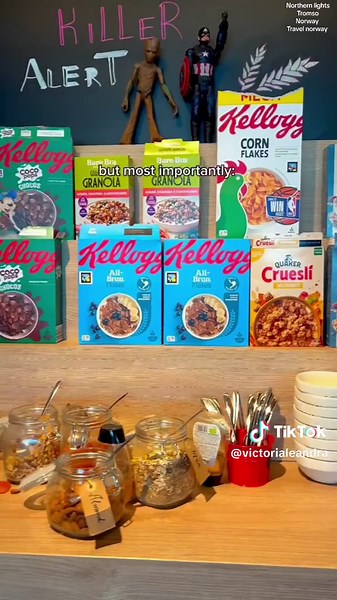 Experience the Northern Lights in Tromso, Norway