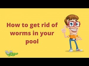 How to Get Rid of Worms in Your Pool