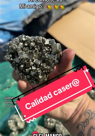 Pirita Peruana: Belleza y Energía en Mineral Gallery