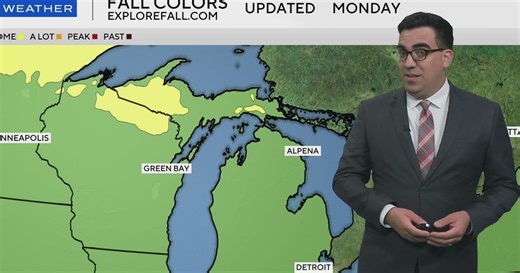 What to know about fall colors in Southeast Michigan