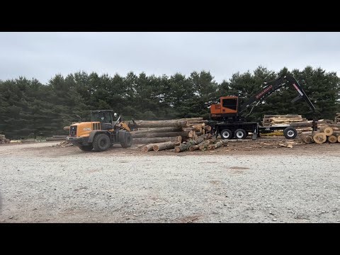 Logging: Cutting more trees in tight spots 👀