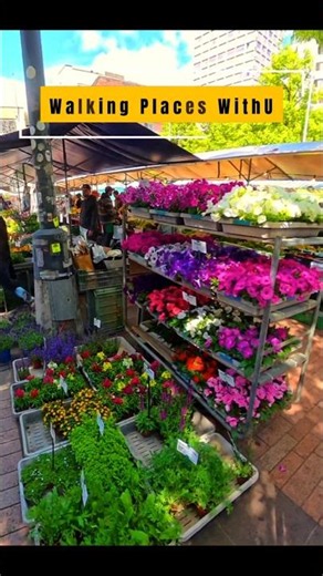 [4K]🇨🇭Zurich, Switzerland, Street Markets#switzerland #europe #walkingtour