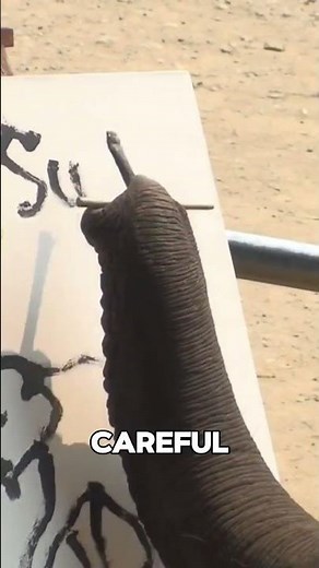 Elephant Paints Self Portrait With a Brush #shorts #animals #wildlife