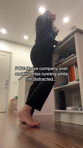 Tiny thought it wasn’t visible | tiny